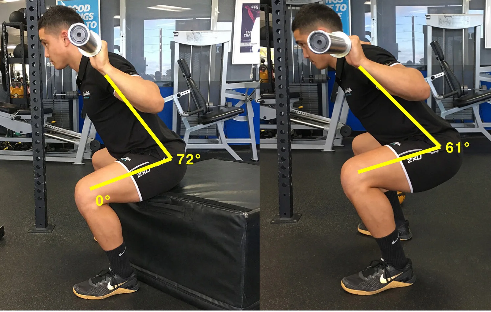 Box Squat