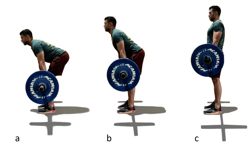 A man demonstrating correct romanian deadlift posture
